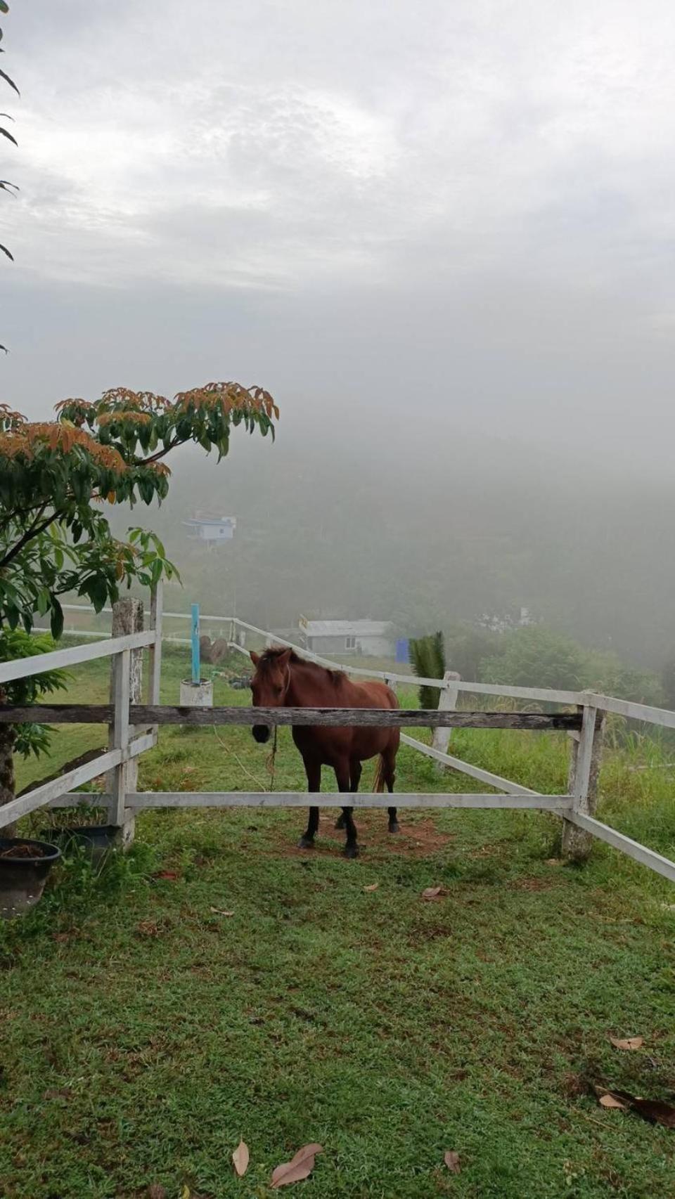 Phang Nga Viewpoint Zewnętrze zdjęcie